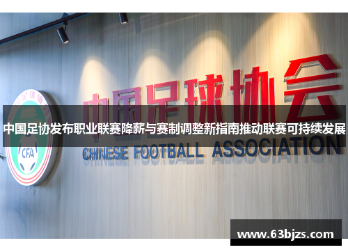 中国足协发布职业联赛降薪与赛制调整新指南推动联赛可持续发展
