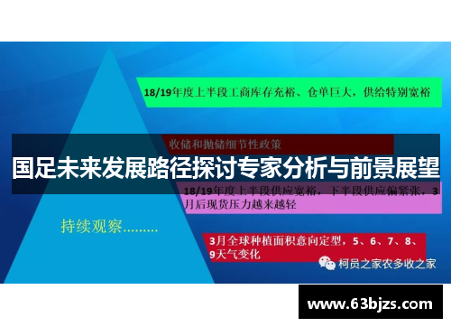 国足未来发展路径探讨专家分析与前景展望